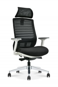 Sitzone Adjustable Backrest Economic Chair